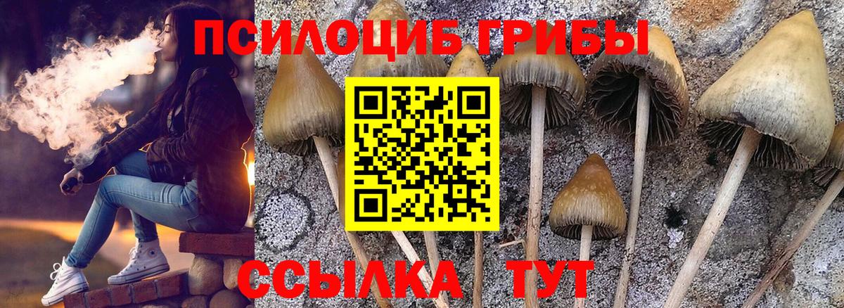 Галлюциногенные грибы MAGIC MUSHROOMS Алексеевка